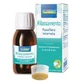 Passion flower passionflower incarnata hydroalcoholic extract 60 ml int