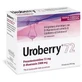 Uroberry 72 10 sobres de 3500 mg