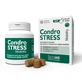 Chondrostress movilidad 60 soft chews