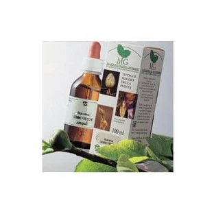 Macerado de glicerina de abedul 100 ml