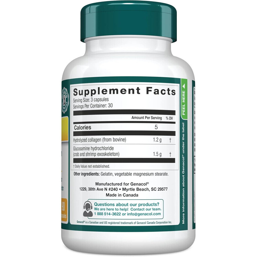 Genacol Plus Glucozamine, 90 Kapseln, Darmaplant