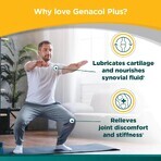 Genacol Plus Glucozamine, 90 Kapseln, Darmaplant Genacol Plus Glucozamine, 90 Kapseln, Darmaplant