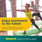 Genacol Plus Glucozamine, 90 Kapseln, Darmaplant Genacol Plus Glucozamine, 90 Kapseln, Darmaplant