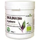 Inulin Bio-Pulver 100 g