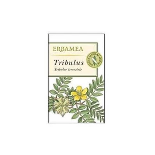 Tribulus 50 cápsulas vegetales