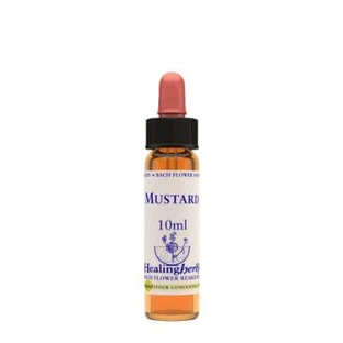 Mustard essence 10 ml 1 piece