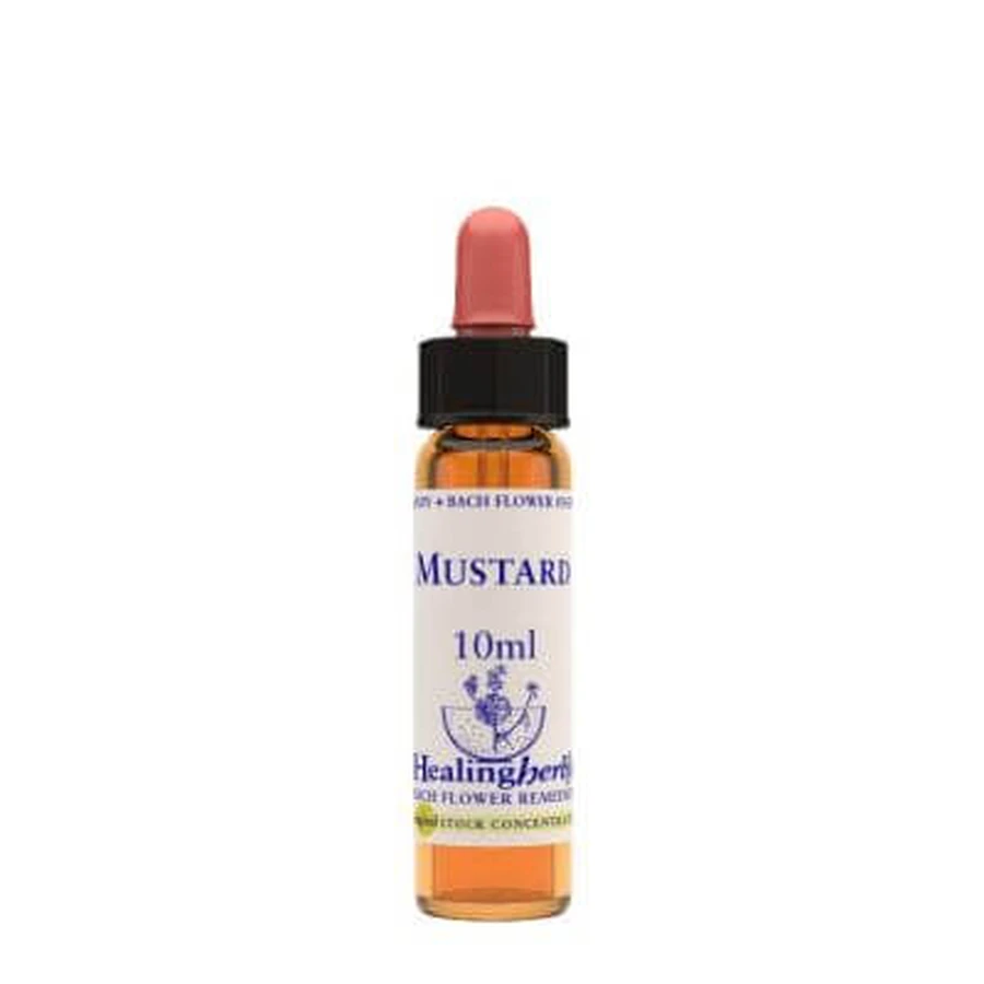Mustard essence 10 ml 1 piece