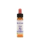 Essence de moutarde 10 ml 1 pièce