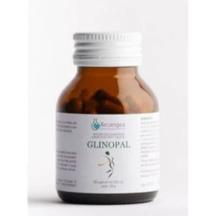 Glinopal 60 500 mg capsules