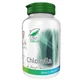 Chlorella, 60 capsules, Pro Natura
