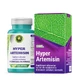 Hypericum Impex Srl