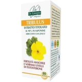 Tribulus titrated extract 80 tablets