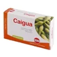 Caigua Trockenextrakt 60 Tabletten