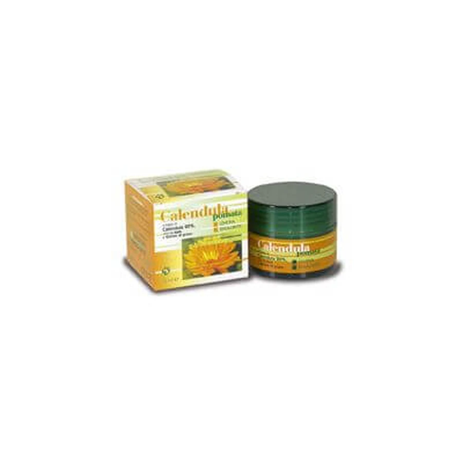 Calendula-Salbe 75 ml