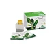 Groene thee-infusie 20 builtjes