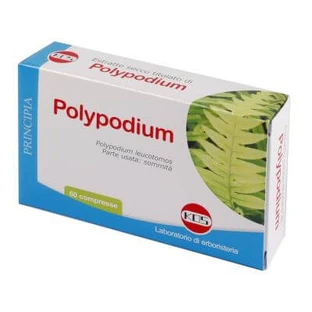 Polypodium droog extract 60 kruidentabletten