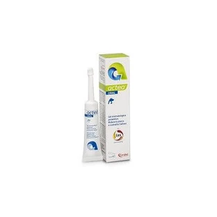 Actea gel dentaire oral 15 ml