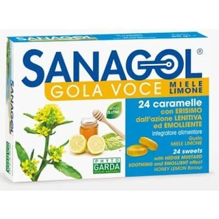 Sanagol throat honey lemon 24 sweets