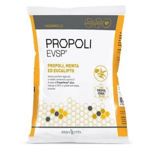 Propolis evsp Propolis Bonbons mit Propolis Minze Eukalyptus 65 g