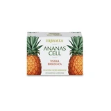 Ananas Cellulose Bio-Kräutertee 20 Teebeutel
