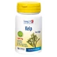 Alga parda Longlife kelp 180 comprimidos