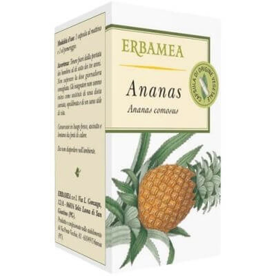 Ananas 50 Stck.