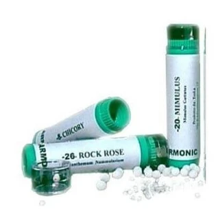 Armonic 15 holly 70gr