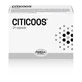 Citicoos 24 tabletten