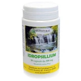 Hydropsillium 90 cápsulas