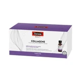 Swisse Kollagen 7 Fläschchen 30 ml