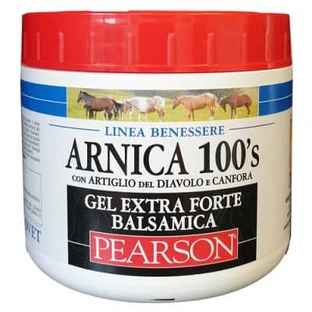 Arnika 100's extra starkes balsamisches Gel 500 ml