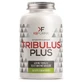 Tribulus plus 60 capsules