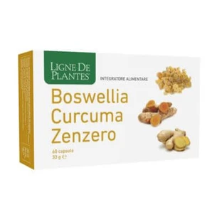 Boswellia cúrcuma jengibre 60 cápsulas