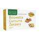 Boswellia cúrcuma jengibre 60 cápsulas