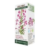 Epilobium extrait entier 200 ml