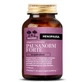 Salugea pausanorm forte 60 vegetarische capsules