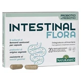 Intestinal flora 20 capsules