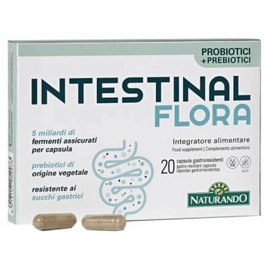 Intestinal flora 20 capsules
