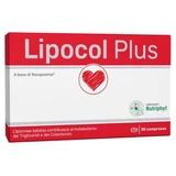 Lipocol plus 30 tabletek
