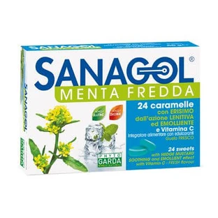 Sanagol koude munt 24 snoepjes