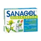 Sanagol koude munt 24 snoepjes