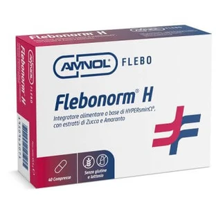 Flebonorm h 40 comprimés