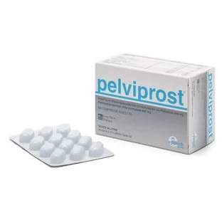 Pelviprost 60 Tabletten Langzeittherapie
