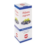 Ribes nigrum macérat glycériné 100 ml gouttes