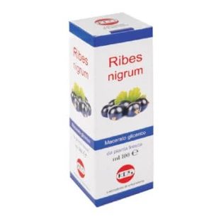Ribes nigrum glyceric macerate 100 ml drops