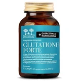 Salugea glutathione forte 60 capsules