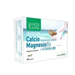 Calcio + magnesio b6 + vitamina d3 60 cápsulas