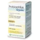 Probiophilus regulas 60 capsules