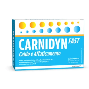 Carnidyn fast 20 sachets