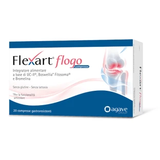Flexart flogo 20 comprimidos gastrorresistentes